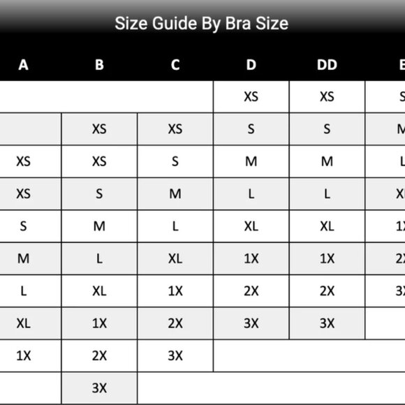 Thistle and Spire RARE LIQUID GOLD MEDUSA bodysuit sheer front snake embroidery - Picture 8 of 8